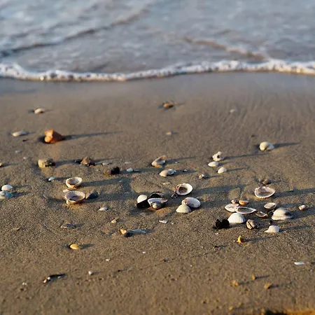Apartment Seaside - Poolside Getaway