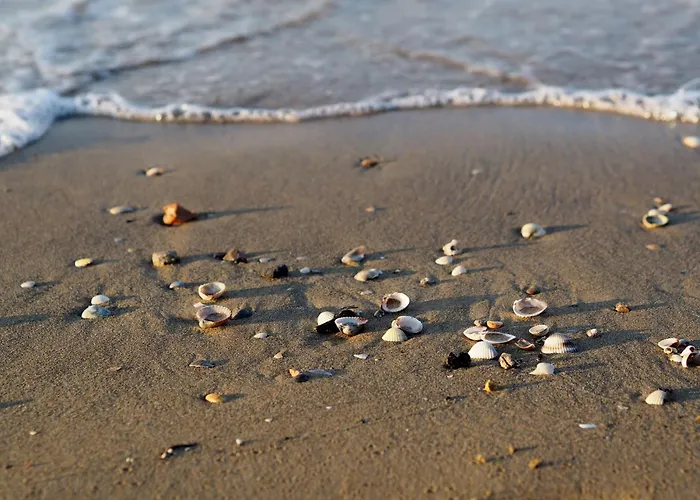 Apartment Seaside - Poolside Getaway